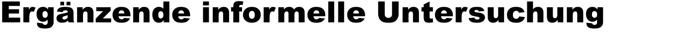 Erg�nzende informelle Untersuchung